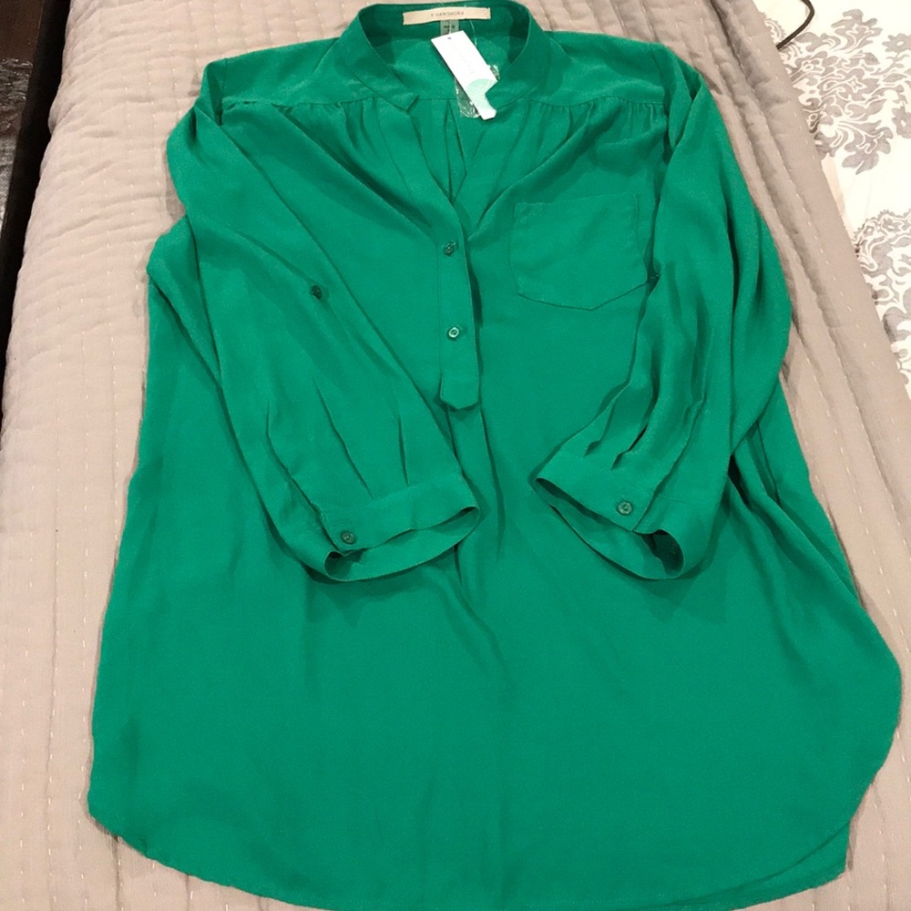 41Hawthorn Colibri Solid Tab Sleeve Blouse